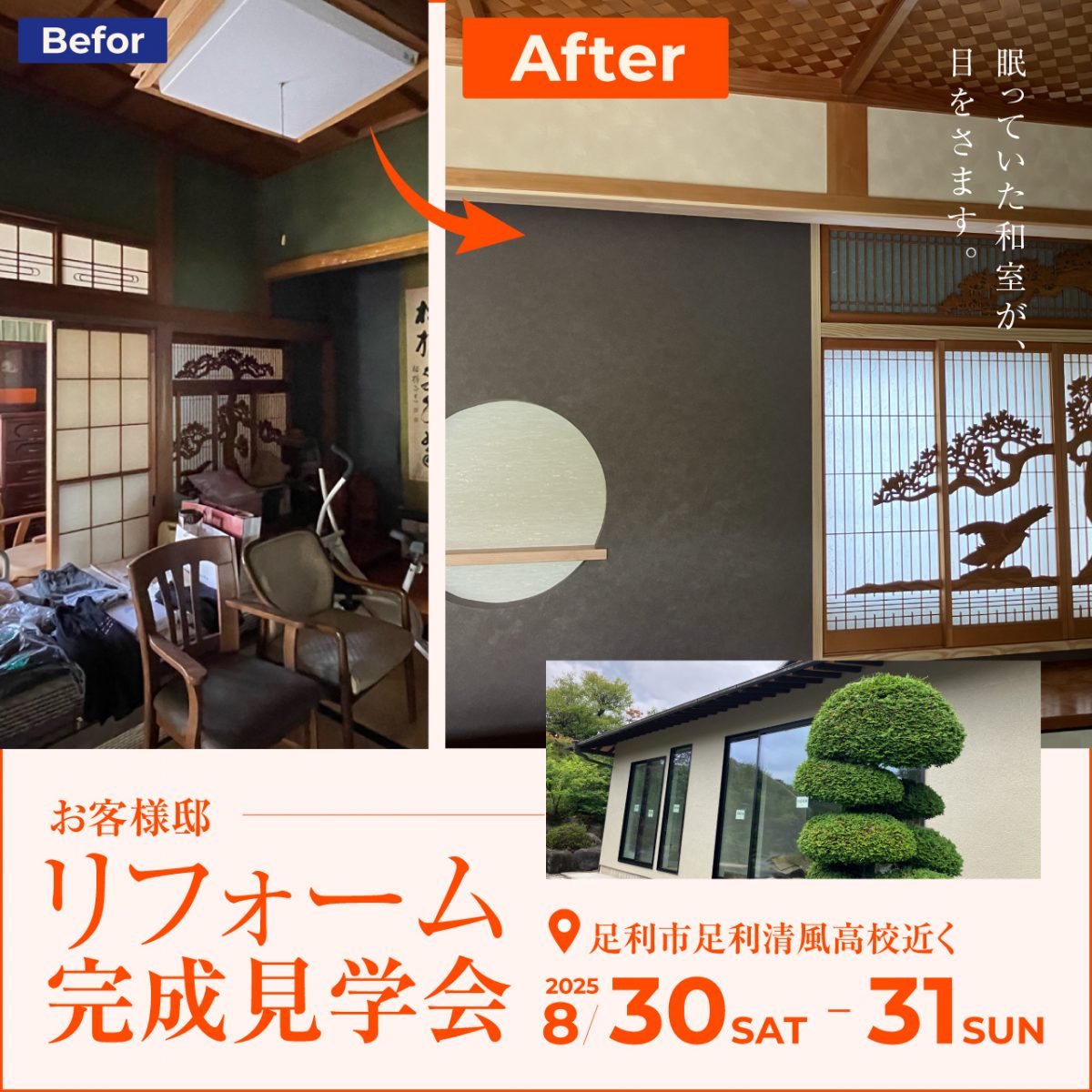 おすすめ情報