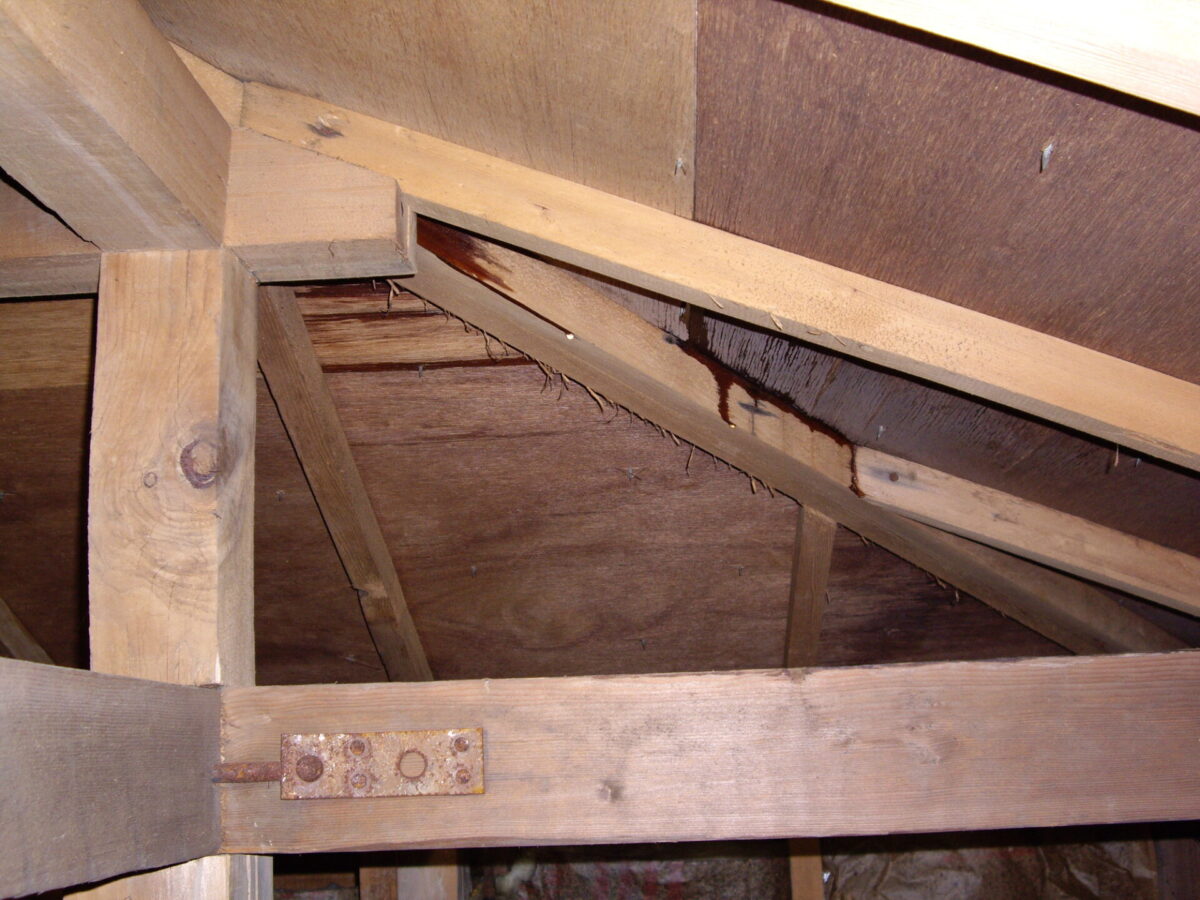 雨漏り修理はどこに頼む?業者の選び方や活用できる補助金・減税制度を解説|とちぎリフォーム