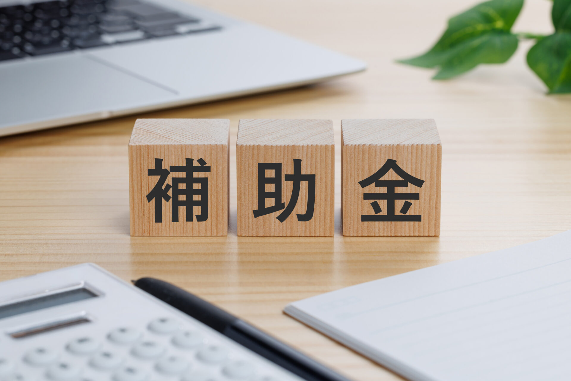 補助金 イメージ